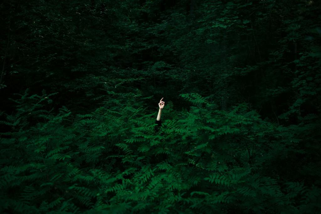 Moving past the fearful&nbsp;self